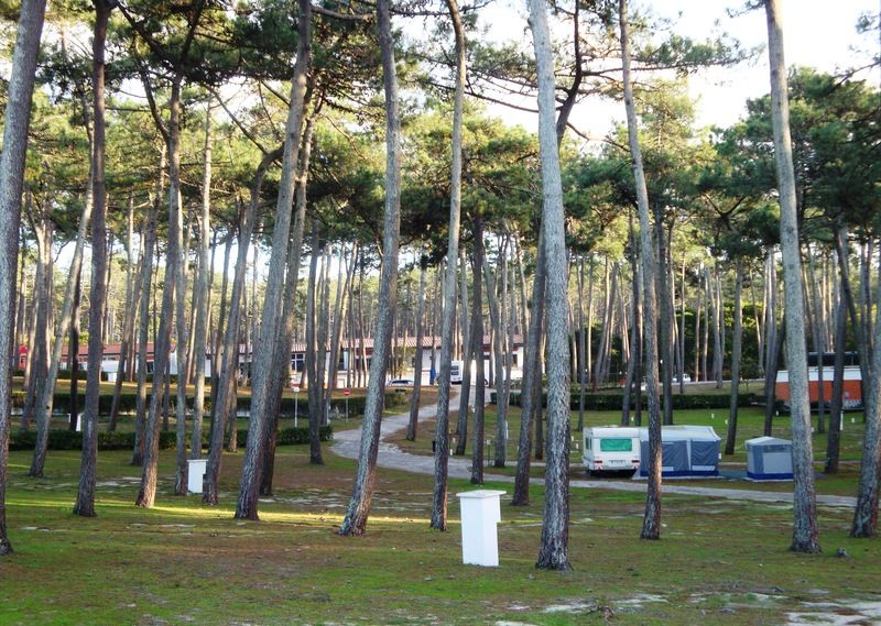 Hotel Parque De Campismo Orbitur São Pedro de Muel Extérieur photo